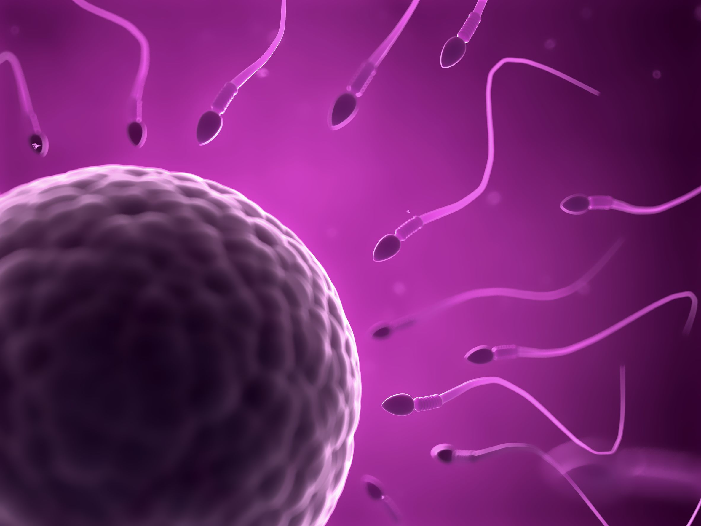 Comment avoir un sperme de qualité ? Booster sa fertilité Blog CoparentaLys