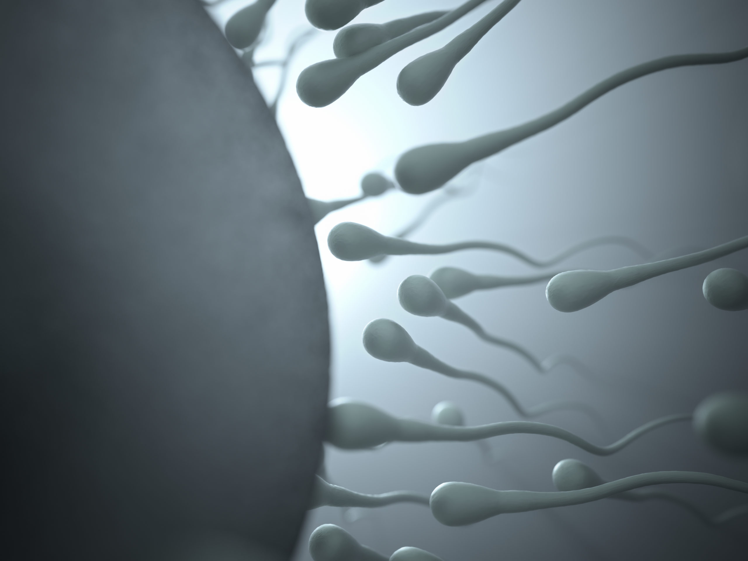 роль спермы в организме фото 105